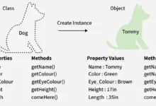 C++ Classes and Objects