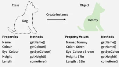 C++ Classes and Objects