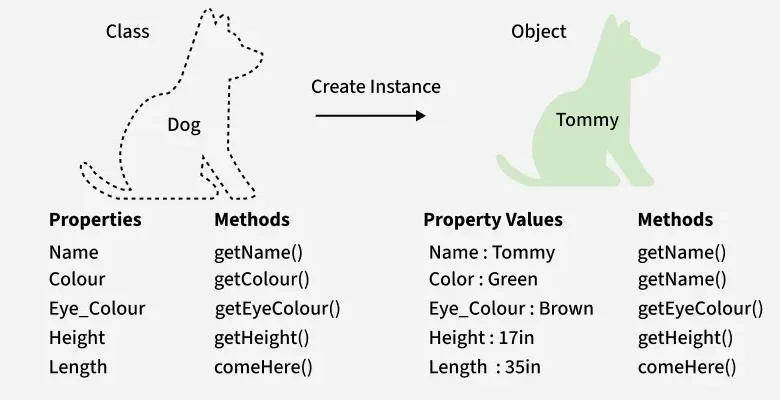 C++ Classes and Objects
