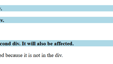 CSS Descendant Selector