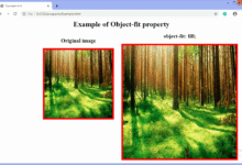CSS object-fit property