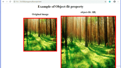 CSS object-fit property