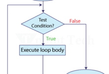 C# While Loop