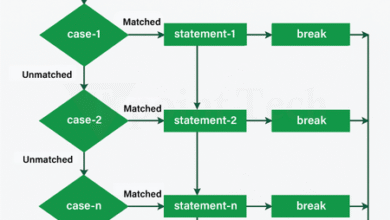 C Switch Statement