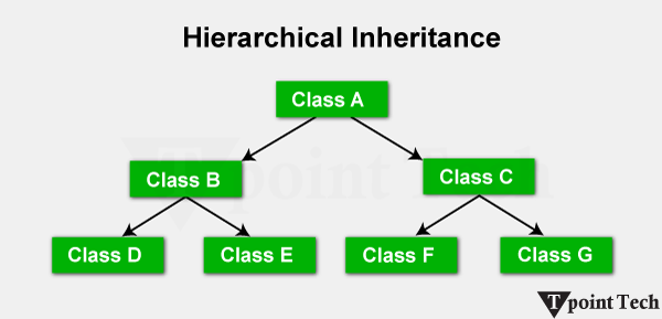 C# Inheritance