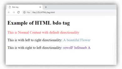 HTML bdo tag